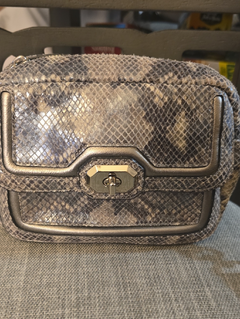 Coach Metallic Gray Snake-Embossed Crossbody